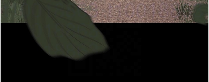 31.jpg