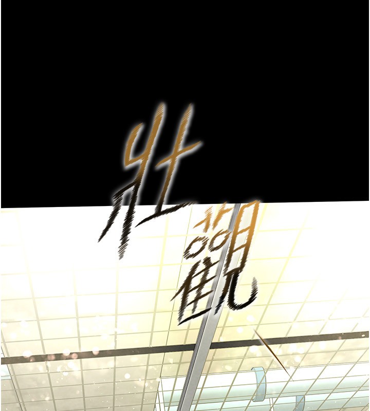 217.jpg