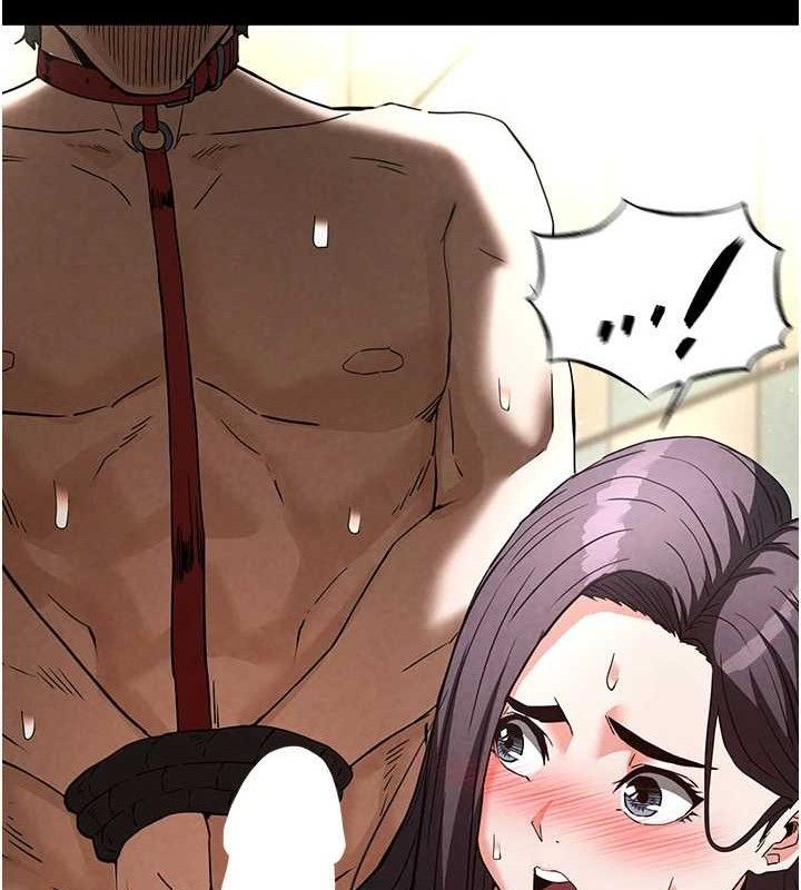 164.jpg