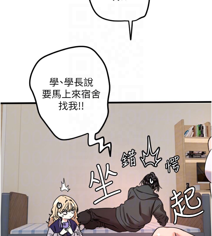 103.jpg