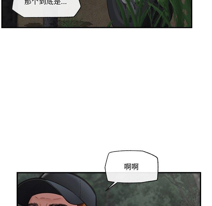 146.jpg
