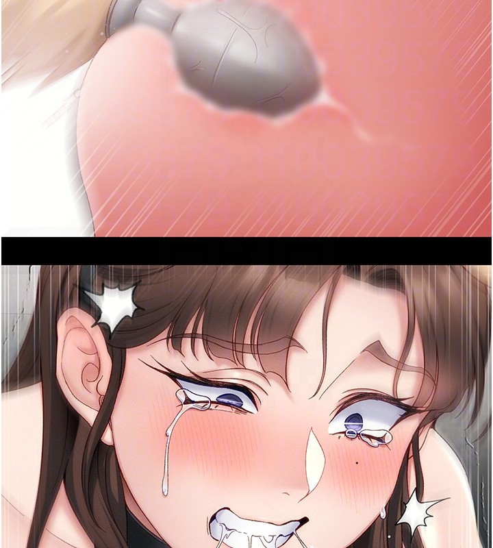 97.jpg