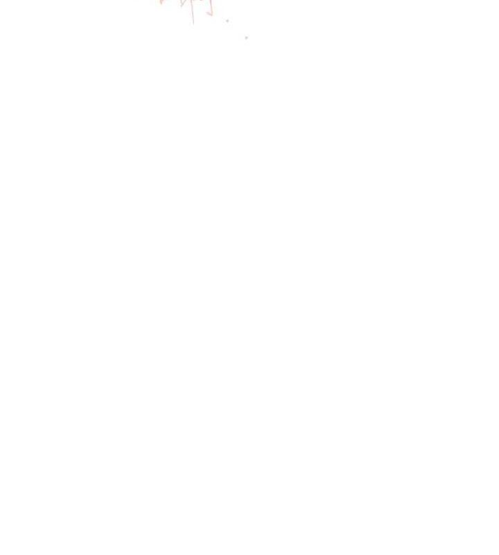113.jpg