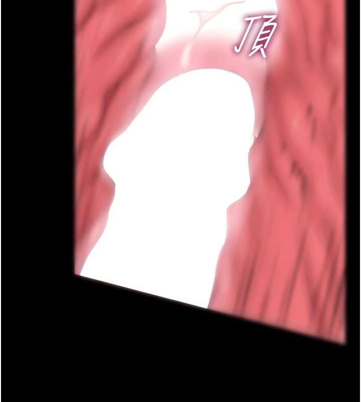 113.jpg