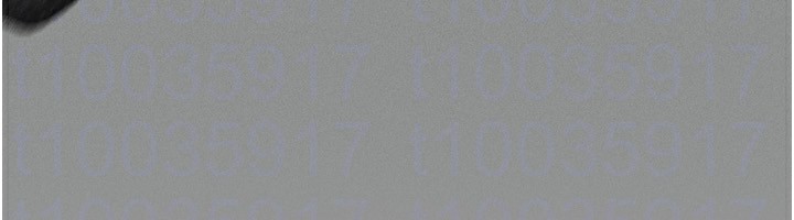 178.jpg