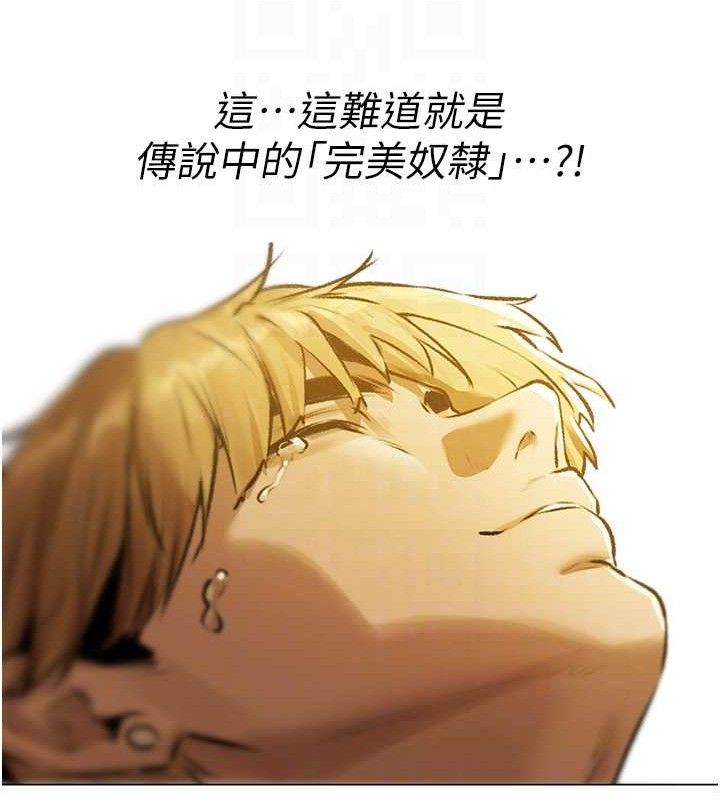 48.jpg