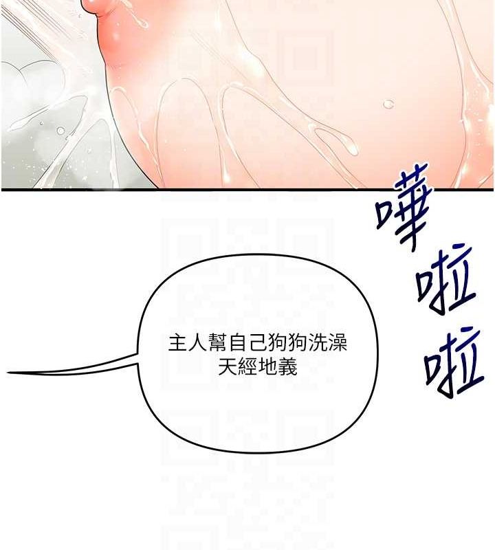 111.jpg