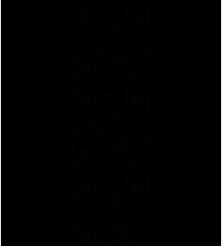 93.jpg