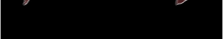219.jpg