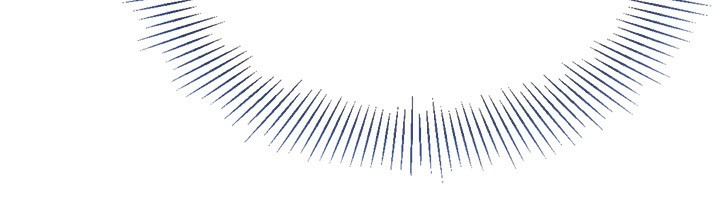 137.jpg