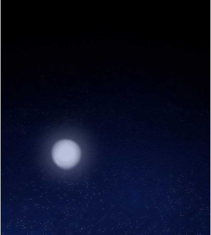 164.jpg