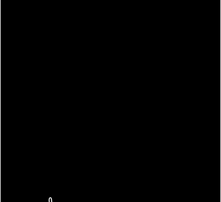 146.jpg